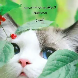عکس با کیفیت برای پروفایل واتساپ عکس برای پروفایل واتساپ با نوشته