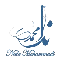 لوگو مشتری فراسیتی-20